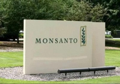 ​张院士：我坦白了，孟山都到底有没有投毒！