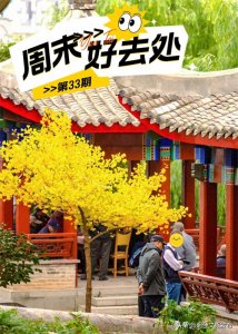 ​【周末好去处】包好玩的！烟台短途度假胜地推荐→