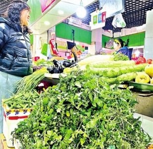 ​“野春菜”扎堆上市尝鲜者众 专家提醒：野外采摘食用须谨慎