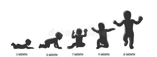 人的成长分为哪几个阶段具体年龄