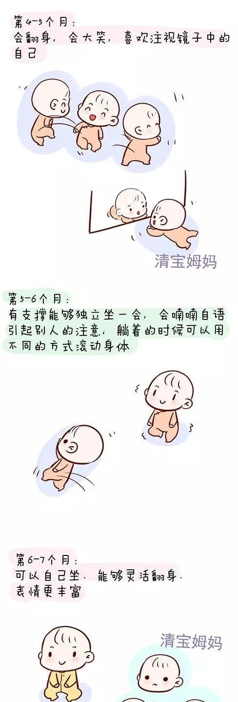 企业成长周期包括哪几个阶段