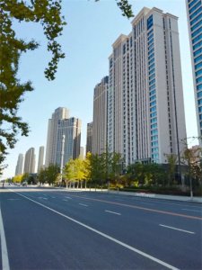 ​大连529路公交车，旅游观光理想线路。