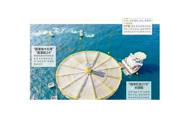 “儿媳你回娘家坐月子，我嫌家臭”，儿媳：这是陪嫁房，就是娘家