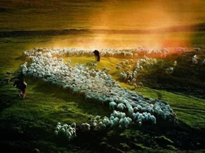 ​商业模式的解构与重构：10大核心要素及链接的底层逻辑