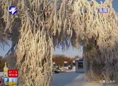 ​齐齐哈尔龙沙公园冰雪城堡，投了多少钱？有多好玩？啥时开放？小编带你了解一