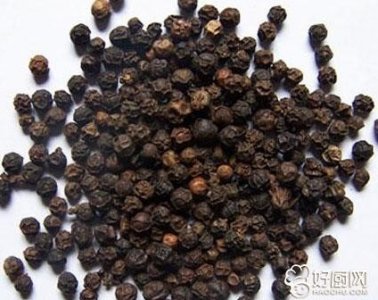 ​胡椒的基本介绍