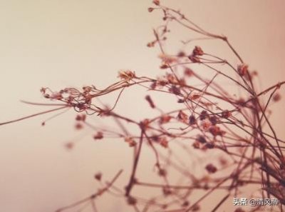 ​有仪式感的生日说说