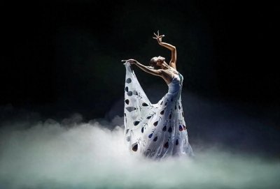 ​回顾杨丽萍的“秃毛孔雀舞”：低俗和艺术仅一线之隔