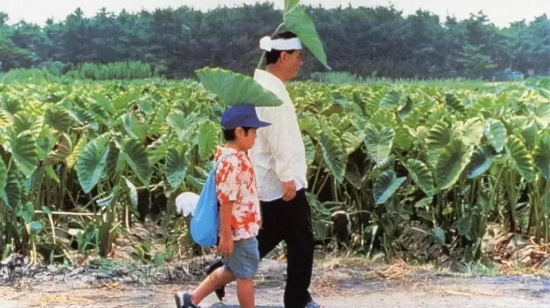 温情感人的高分电影有哪些（盘点最为温情脉脉的十部高分电影）