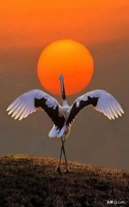 ​绝美金奖摄影作品欣赏