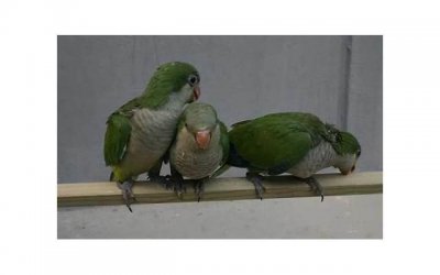 ​拍婚纱照大概价格多少钱？