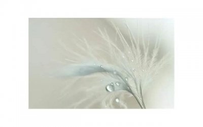 ​女生问男生感情史意味什么 意味着她对你着迷了