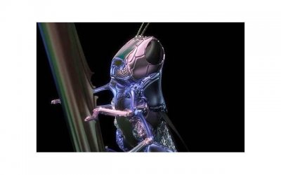 ​七夕情人节的搞笑段子