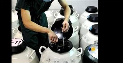 试管婴儿在子宫内的着床过程，有图有真相——看了真为准妈妈揪心