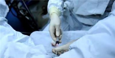 试管婴儿在子宫内的着床过程，有图有真相——看了真为准妈妈揪心