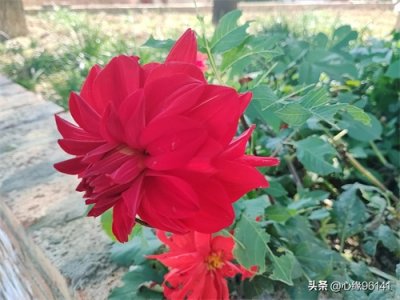 ​国家体育总局认可的15所本科体育院校，都有哪些？