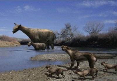 ​消失的史前巨兽——巨犀，最大的陆生哺乳动物，体形到底有多大？