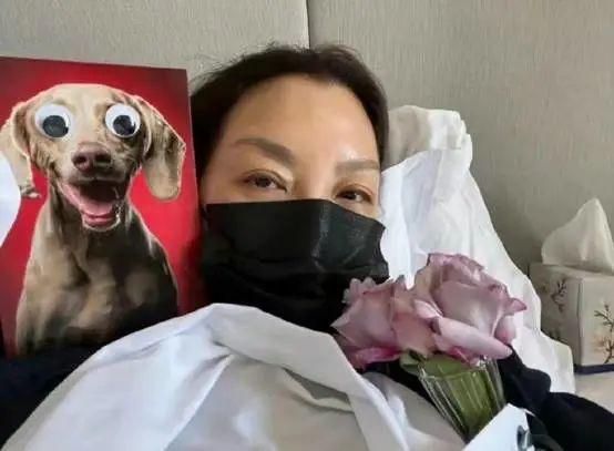 杨紫琼最新电影全集（杨紫琼新片是多元宇宙）(13)