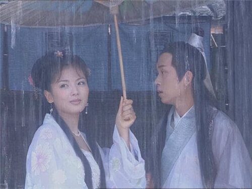 刘涛演过的电视剧大全(刘涛最火六部电视剧)插图3