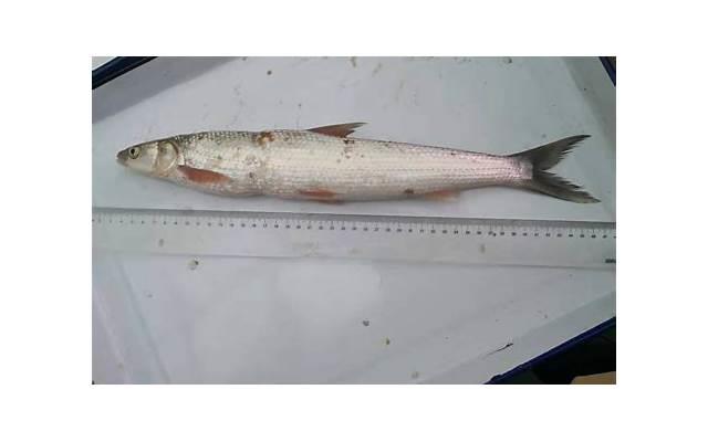 520完美爱情攻略：让你们的爱情长久保鲜